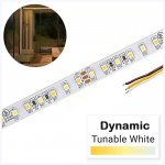 5m Tunable White LED Strip Light - LED Tape Light - 12V / 24V - IP20