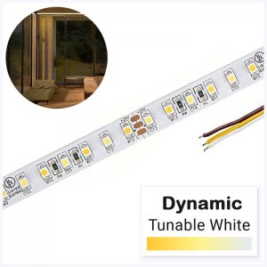 5m Tunable White LED Strip Light - LED Tape Light - 12V / 24V - IP20