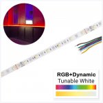 5m RGB+CCT LED Strip Light - Color-Changing LED Tape Light - 12V / 24V - IP20 - RGB+CCT - 196.9in (16.40ft)