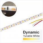 5m Tunable White LED Strip Light - LED Tape Light - 24V - IP20 - Tunable White - 196.9in (16.40ft)