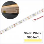 5m White LED Strip Light - HighLight Series Tape Light - 12V / 24V - IP20