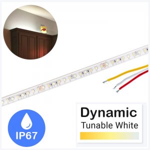 5m Tunable White LED Strip Light - LED Tape Light - 12V / 24V - IP67 Waterproof