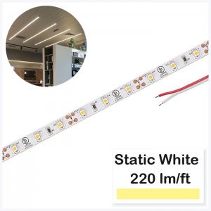 5m White LED Strip Light - Eco Series Tape Light - 12V / 24V - IP20