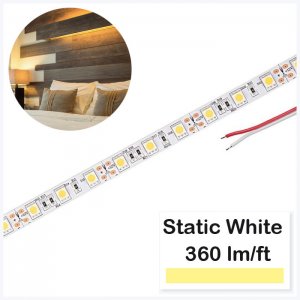 5m White LED Strip Light - Radiant Series LED Tape Light - 12V / 24V - IP20